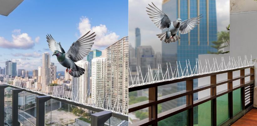 Bird Spikes & Pigeon Spikes  | Call 8530237689 Service 