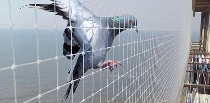 Bird Nets For Balconies  | Call 8530237689 Free Installation
