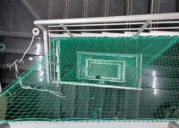 Balcony Safety Nets  | Call 8530237689 Raj for Installation 